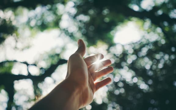 A person's hand reaching towards light through trees