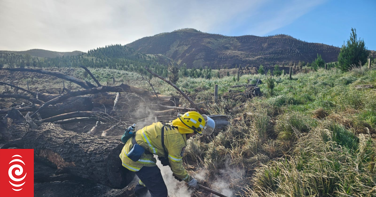 P rangahau residents want forestry law changes after massive blaze