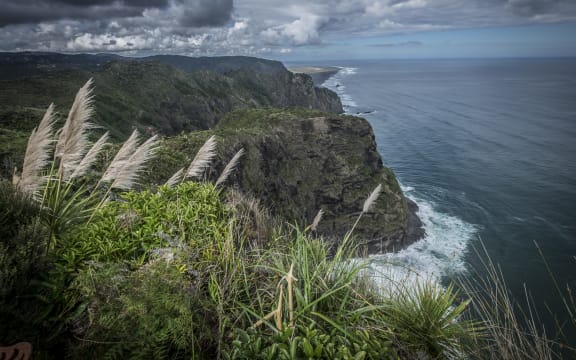 West Auckland Mercer Bay cliff area in the ongoing search for Kim Bambus.
Waitemata Detective Inspector Hayden Mander said searchers will scour the cliff area.
Ahu Ahu Track (Mercer Bay loop track) near Auckland's west coast beach of Piha.