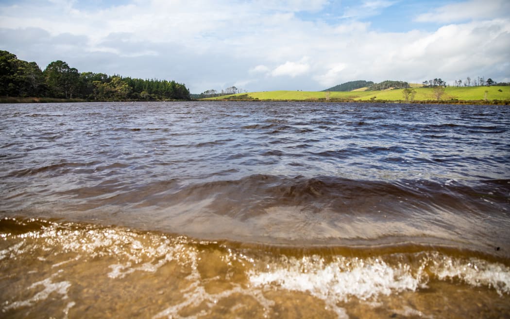 Auckland is providing a blueprint of how to eradicate invasive fish from New Zealand's waterways.