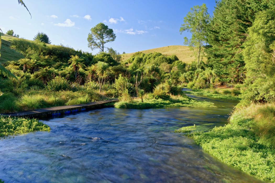 River along the Te Waihou Blue Springs walkway in South Waikato.