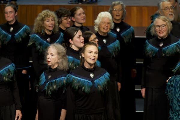 Kaitāia Community Voices performing at the 2024 World Choir Games.