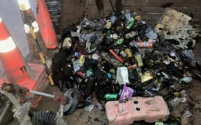 Some of the rubbish found dumped in Stratford's Victoria Park pond after a clean-up by council.