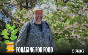 A smiling man with a beard and glasses, wearing a plaid shirt, stands outdoors in a lush, green environment with flowering trees behind him. To the left, a graphic illustration of a plant growing from a stack of coins symbolizes sustainability. The bottom of the image features text that reads 'Foraging for Food' with 'S3 Episode 2' on the right.