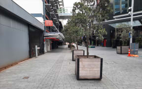 Federal Street in central Auckland on the second day of the August 2021 lockdown.