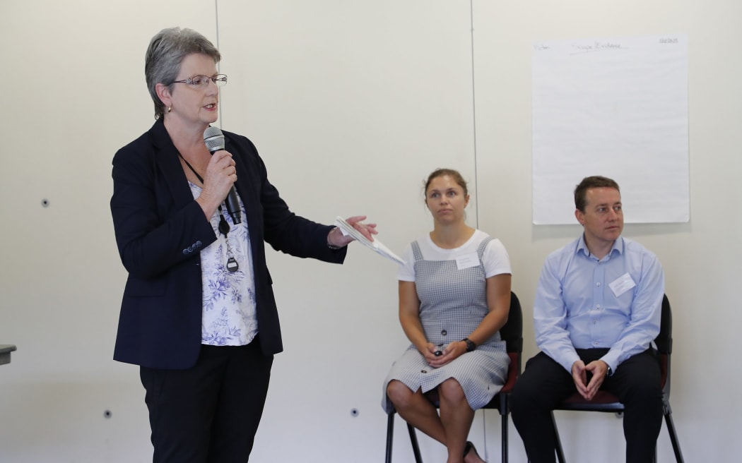 Marlborough Sounds ward councillor Barbara Faulls speaks to residents during a public meeting in Picton in 2023 about the Sounds road recovery.
