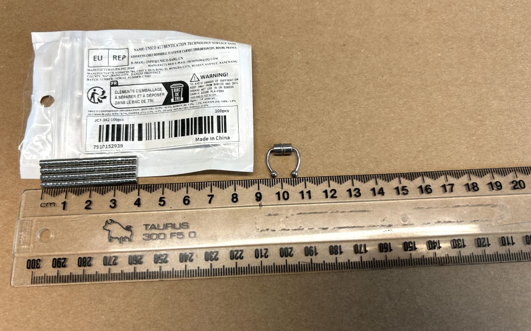 Photo shows some tiny magnets and a magnetic nose ring.