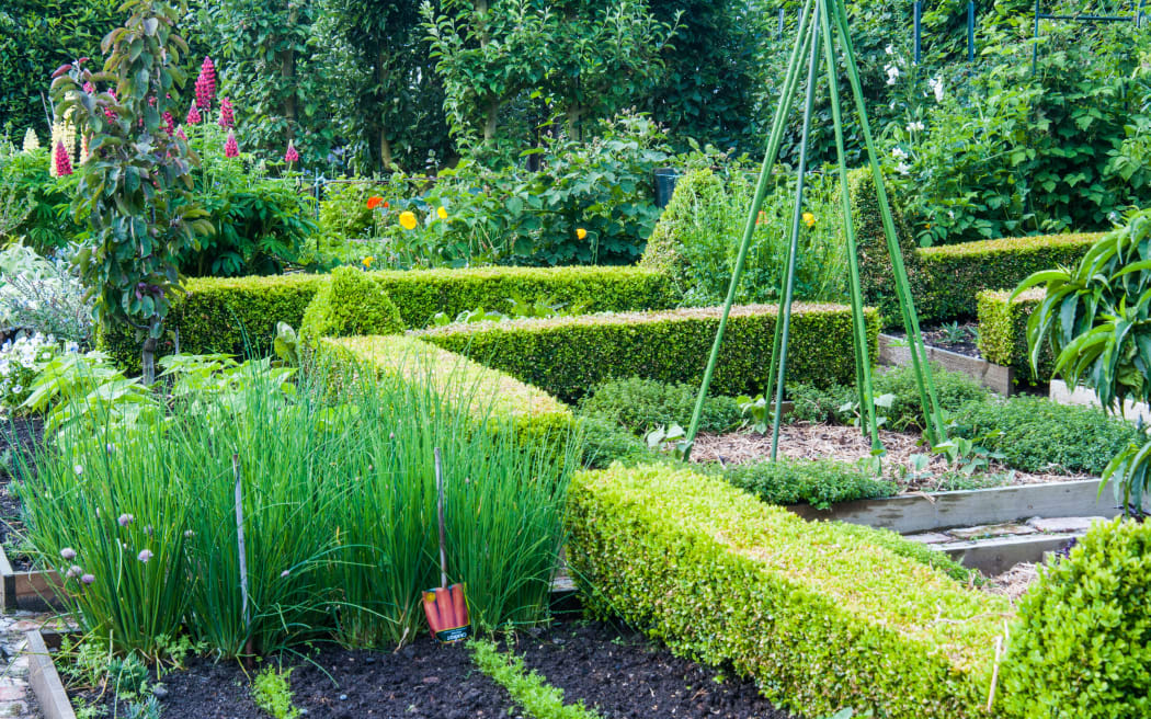 Barewood Garden, Awatere Valley