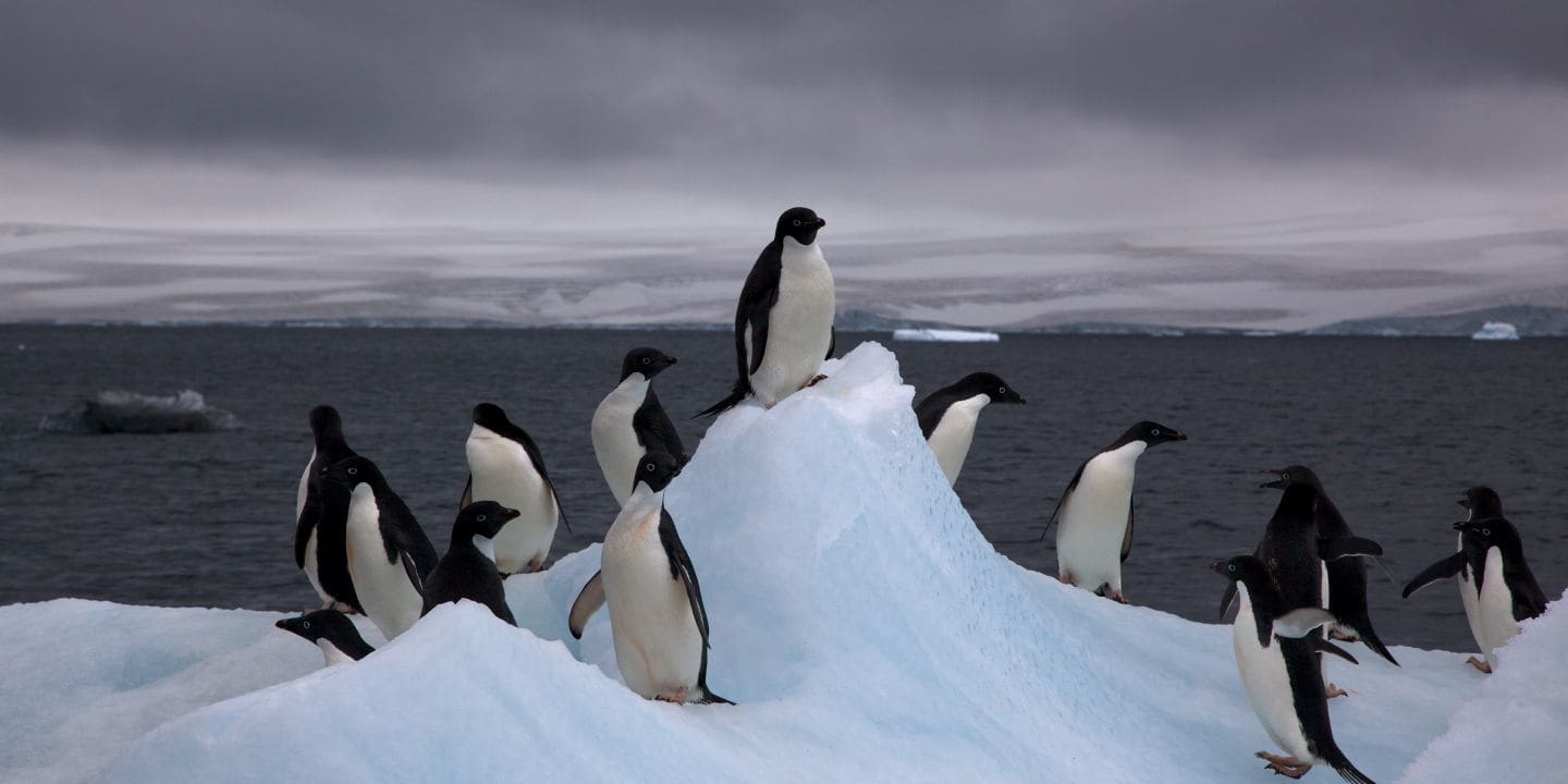 Graphic for Antarctica