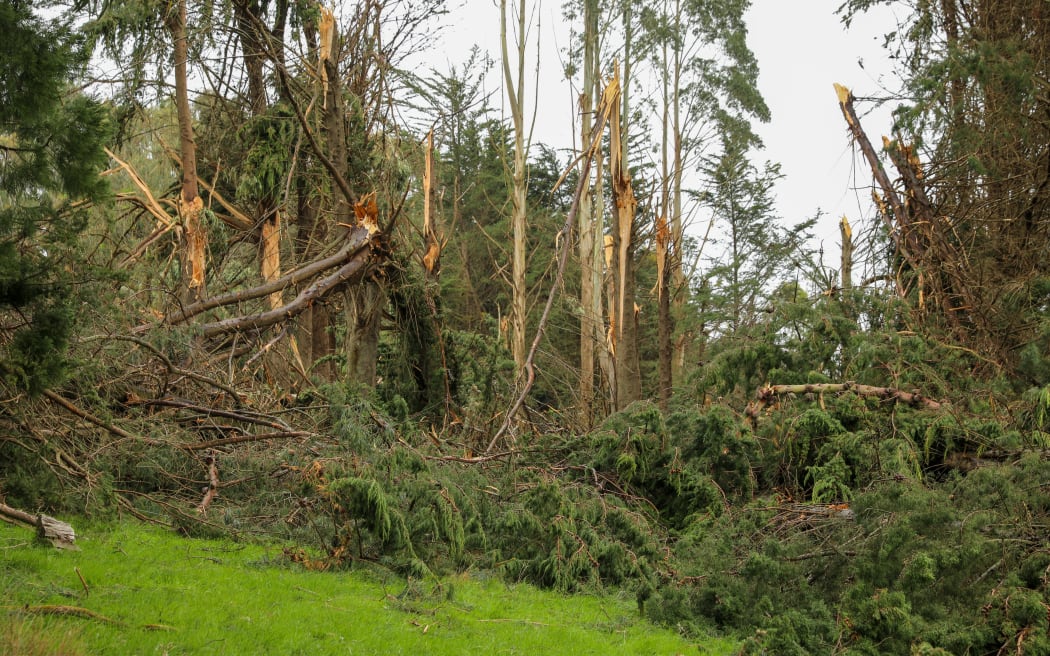 Clutha Valley storm damage