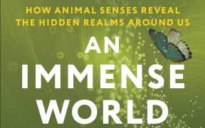 An Immense World book cover