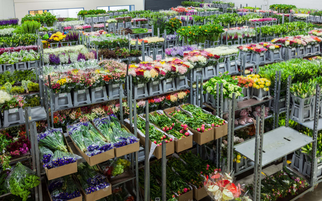Most New Zealand flower growers are described as "mum and dad businesses".