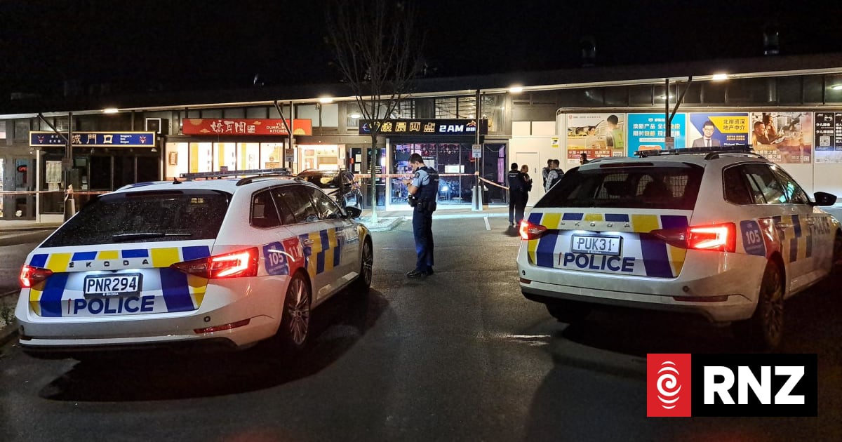 Albany restaurant axe attack: Fanrong Meng to be detained as special ...