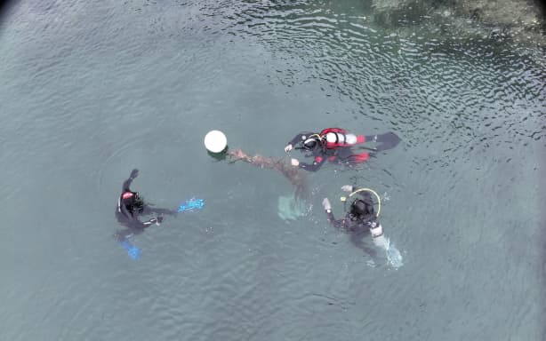 Restoration project helps Marlborough iwi reclaim their maritime roots ...