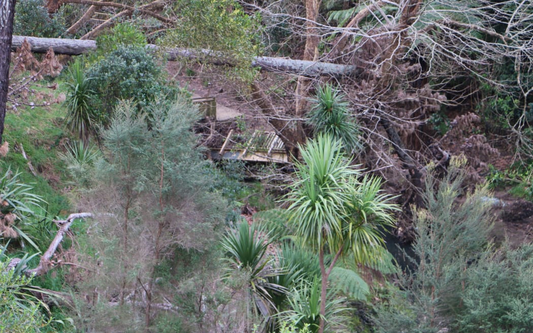A destroyed bridge surrounded by bush.