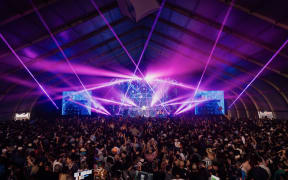 A crowd of 35,000 converged on Hagley Park for this year's Electric Avenue festival