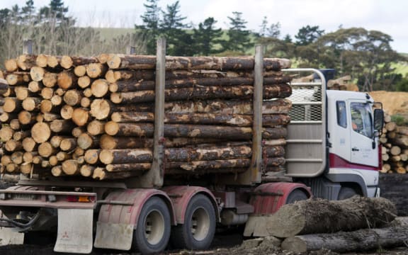 There have been four forestry deaths this year.