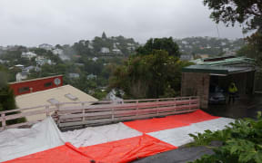 The scene at Wellington's Garden Road, where Delia Williams, 55, was fatally hit by a car