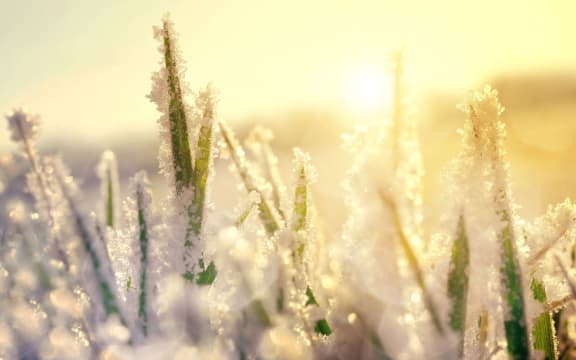 Frost, ice, snow, cold, winter, generic