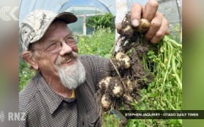 The NZ potatoes destined for royal tummies