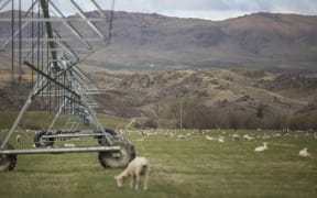 FOR WATER TAX story first - Generic Central Otago