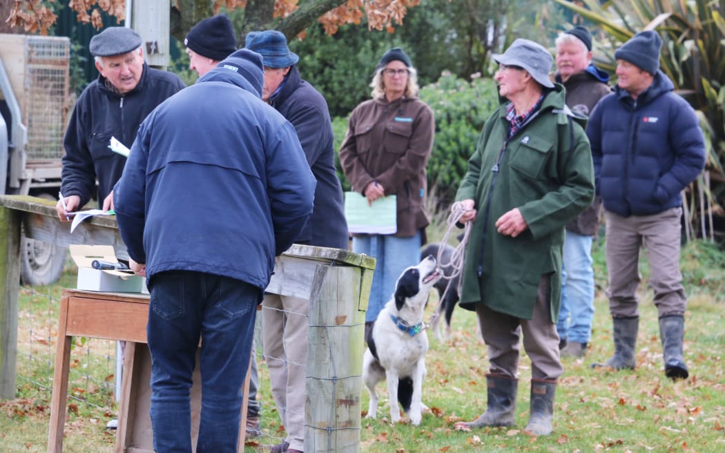 Working dog sale