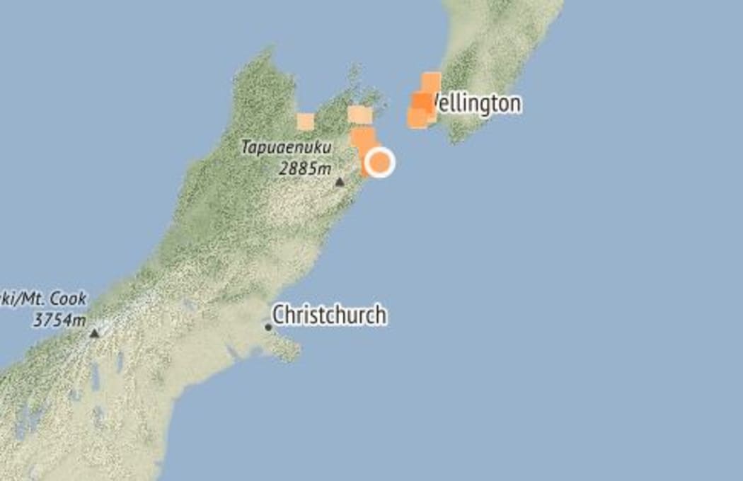A 4.2 magnitude earthquake has rattled central New Zealand.