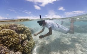 The environmental organisation said the expedition, which began on 27 March.