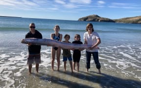 The oarfish washed up at Aramoana beach.