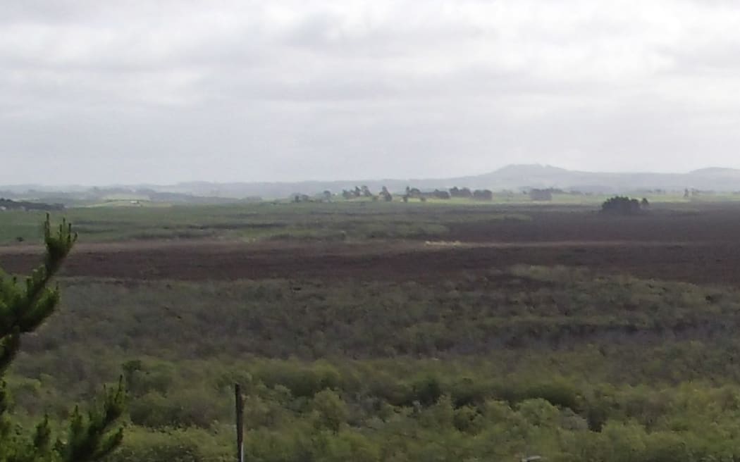 View of Whangmarino wetland