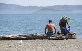 Summer in Eastbourne, Wellington.