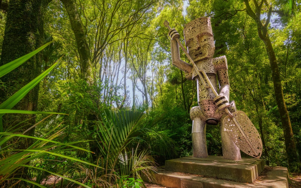 Tawa Walk, Manawatu Gorge.