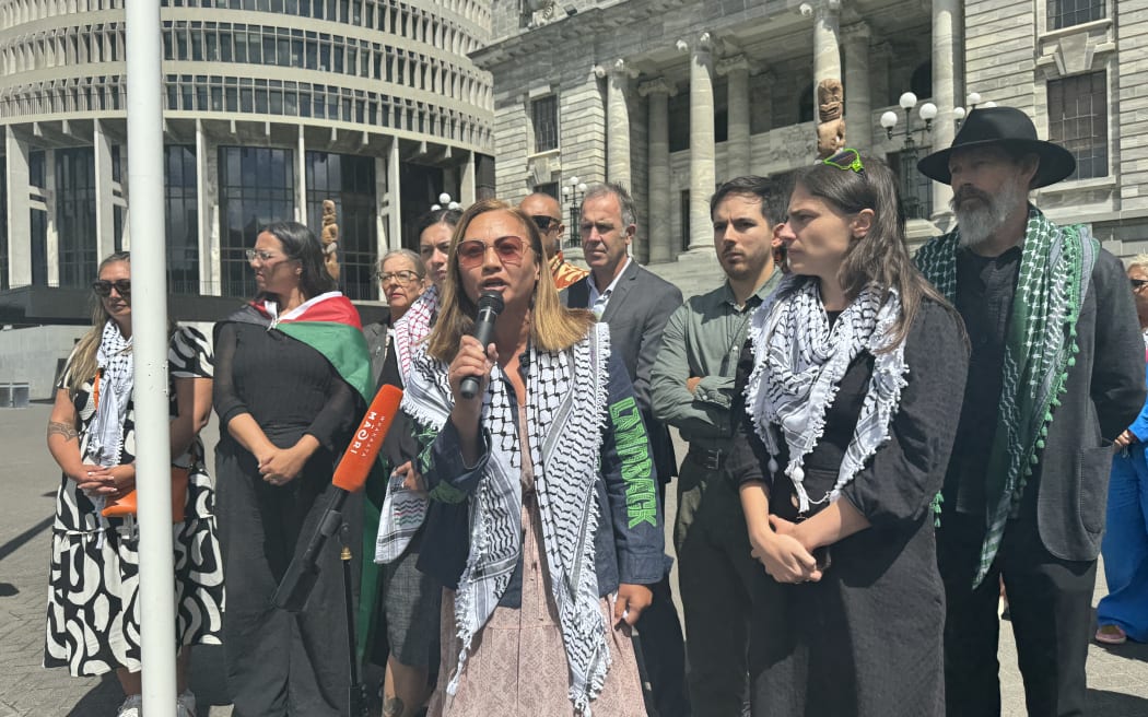 Politicians and protesters gathered on the steps at parliament on 13 February 2024, calling for more action in regards to the war in Gaza.