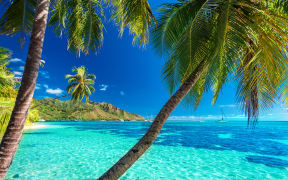 A tropical beach scene on Moorea in French Polynesia