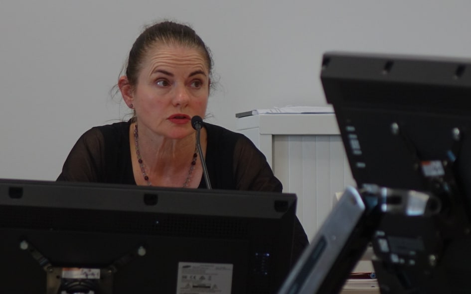 Tree preservationist Helen Lowe addresses a hearing panel in Christchurch on 9 February 2016.