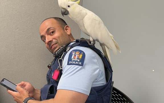 Constable Tushar and Pepper at the Porirua Police Station.
