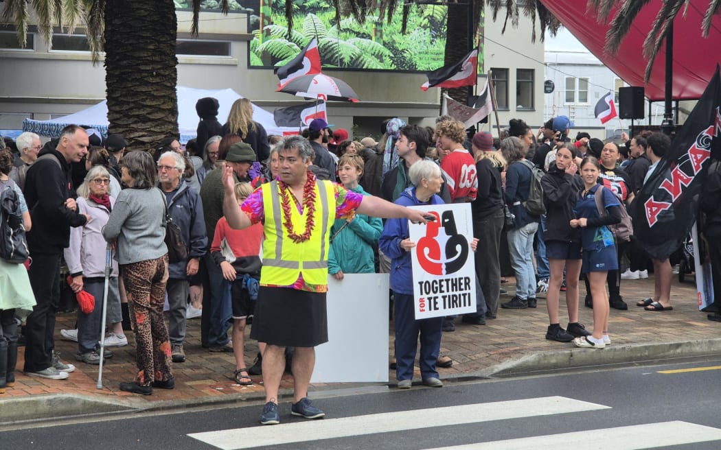 From the national hīkoi events, in Nelson, on 14 November, 2024.