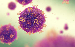 An illustratioj of the highly contagious measles virus.