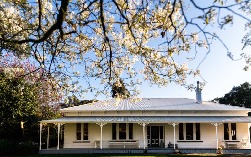 Manawatū family linked to All Blacks gives old homestead new lease on ...