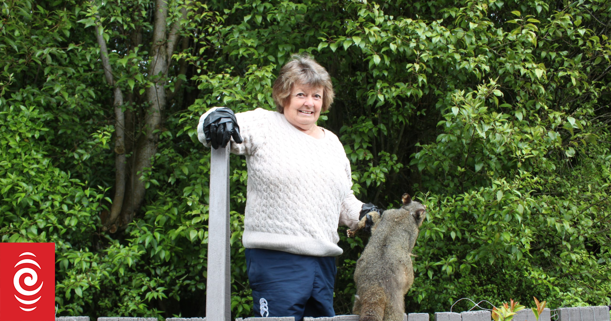 Possums ate this pensioner’s roses. So she fought back