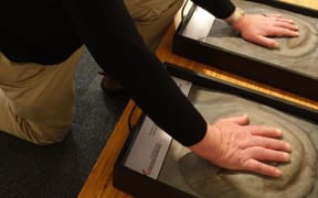 Nelson Provincial Museum chief executive Peter Millward checks out imprints of dinosaur footprints.