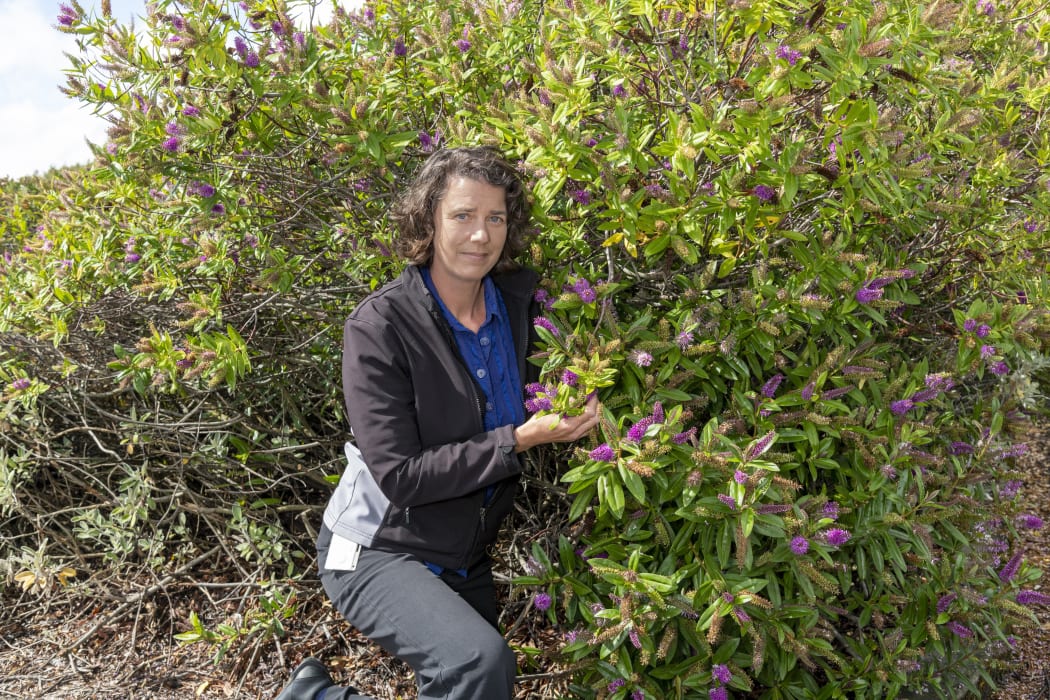 Dr Melanie Davidson