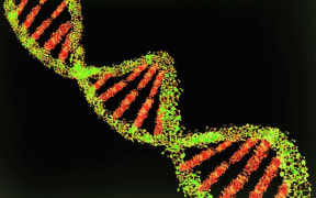 DNA double helix through an electron microscope
