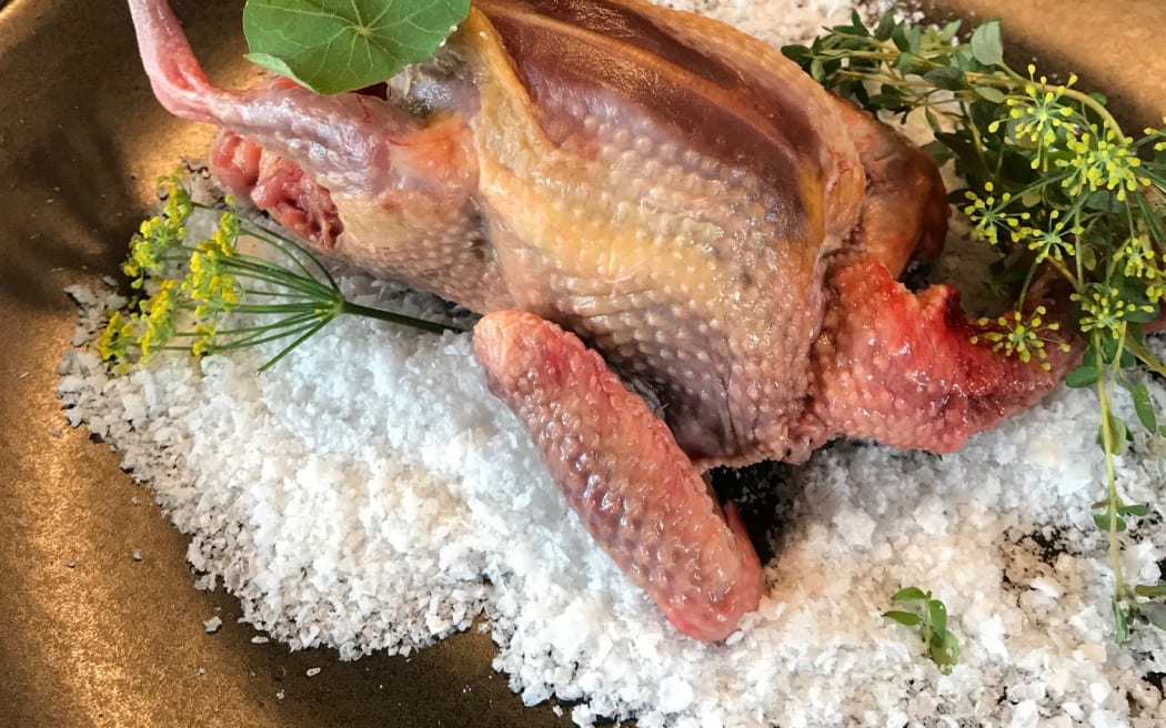 Bird Salt by Jacob Brown