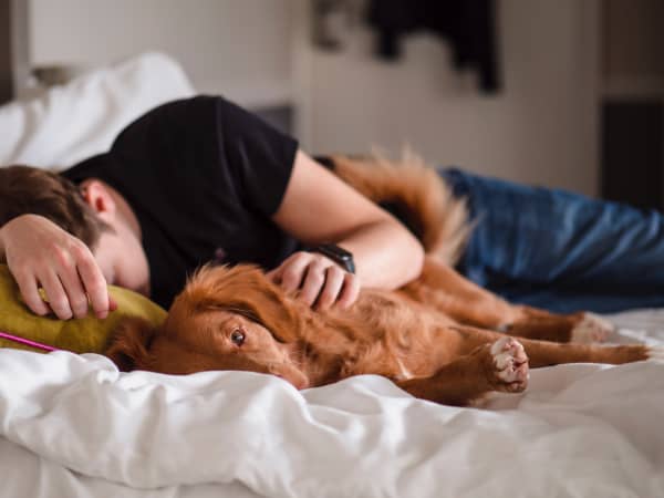 Young man sleeping with dog