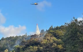 Waitakere Fire