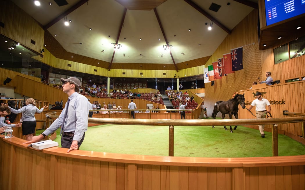 General imagery from the Day 3 of Book 1 the Karaka 2020 Yearling Sales