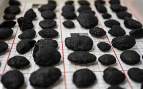 Polymetallic nodules found on the seafloor are known to contain metals such as nickel, copper and cobalt.