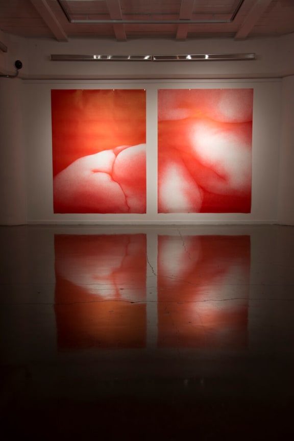 Sam Dollimore's series "Put that away, it's disgusting"