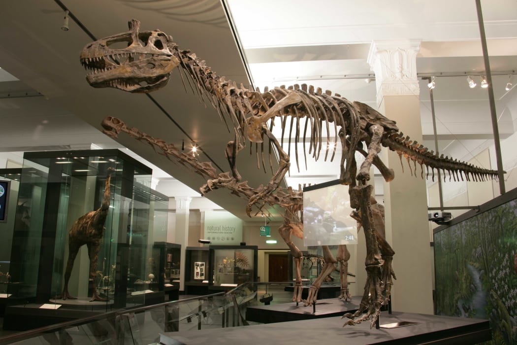 The reconstructed skeleton of a Cryolophosaur at Auckland Museum